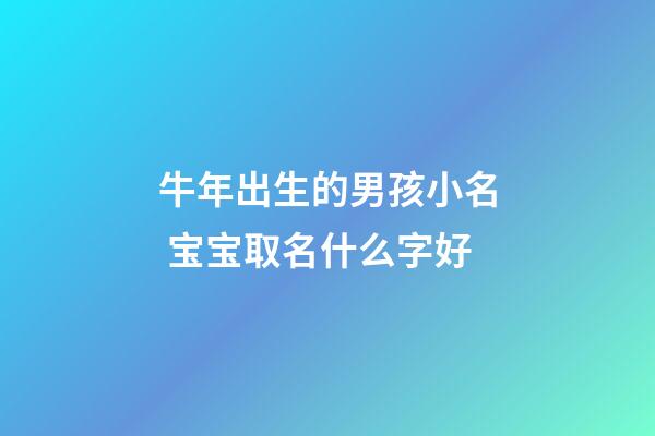 牛年出生的男孩小名 宝宝取名什么字好